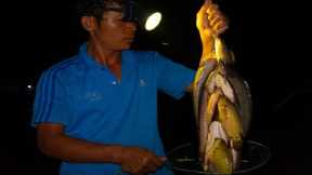Night Fishing Skill - Using Hook To Catch Natural Fish With Earth-worm Biat At Night.