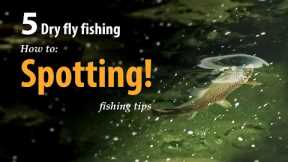 How to • Dry fly fishing • Spotting the fish • fishing tips