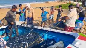 Amazing !! Sea Beautiful Place Live Net Fishing Video | Million Of Fish