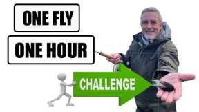 Fly Fishing For one hour with one fly challenge #flyfishing #fishing #catchandrelease