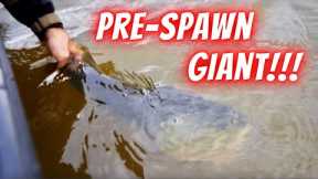 Prespawn Bass Fishing Lake Fork 2023: The Best Fishing Day Of The Year??? Perfect Conditions!