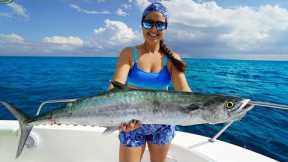 The MOST UNDERRATED Fish! Catch, Clean, Cook! Fishing South Florida