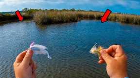 I Used These Lures to Catch Fish Here