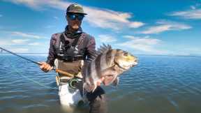 Proof fly fishing is better than traditional fishing - saltwater fly fishing