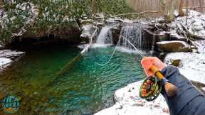 Fly Fishing for Native Brook Trout in a Small Creek! (WINTER TROUT FISHING)