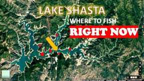 LAKE SHASTA: WHERE ARE THE FISH!!?? (areas/spots shown)