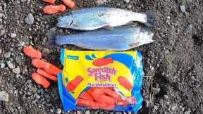 Stocked Trout Fishing w/ SWEDISH FISH Marshmallows!! (Catch & Cook)