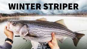 Striped bass winter fishing (Boone Lake, TN)