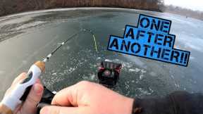 Crappie and Bluegill Were On FIRE!! (January Ice Fishing 2023)