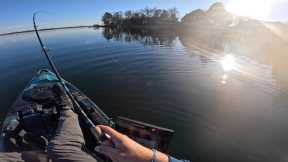 Lake Murray Bass Fishing (Drawdown scouting)