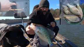 Catching crappie/bass/hybrids on Lake Degray.  Good batch of fish