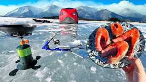 CATCH and COOK while Ice Fishing!! (Delicious Mountain Trout)