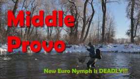 Fish After Fish on a New Euro Nymph!!! - Fly Fishing the Middle Provo