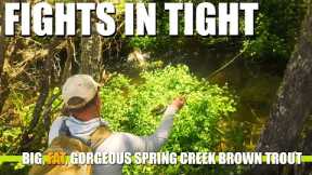 FIGHTS IN TIGHT! Spring Creek Fly Fishing for Big, Fat, Gorgeous Brown Trout in HEAVY Cover