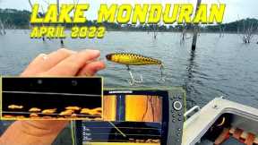 Strong Winds and Rain - Fishing Lake Monduran April 2022