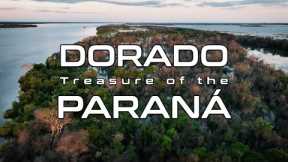 Golden | Dorado: Treasure of the Paraná -  Fly Fishing in South America