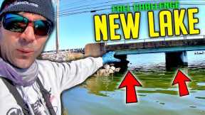 How to Find FISH + Catch Fish in FALL (NEW Lake Challenge)