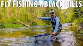 Epic Fly Fishing in the Black Hills of South Dakota