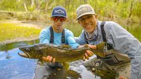 Massive Brown Trout Eating Flies | Fly Fishing Argentina