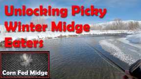Winter has the BEST Dry Fly Fishing - Midges on the Middle Provo