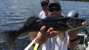 Rainy Lakes Best Walleye Fishing
