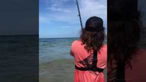 Guy Catches Monster Fish While Beach Fishing! #shorts