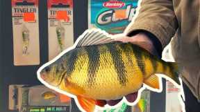 How to Catch GIANT Lake Cascade Perch (and free tackle give-a-way)