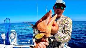 The Hardest Fish to Catch on Rod and Reel (Catch Clean & Cook)