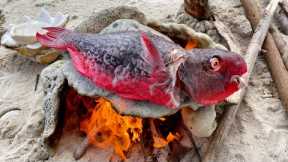 Parrot Fish Cooking on HOT ROCKS!! Delicious Seafood Spear Catch and Cook