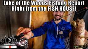 Lake of the Woods Fishing Report (Right from the Fish House!)