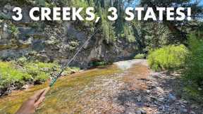 Fishing 3 New Creeks in 3 States for 3 Species! (Tenkara Fly Fishing)