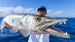 You've Been LIED to... Eating TOXIC Fish! Catch Clean Cook (Barracuda)