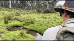 One of the most beautiful rivers in the world | Tasmania Fly Fishing