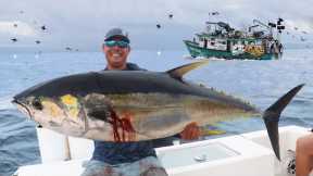 Mega YELLOWFIN TUNA Caught Fishing by Remote Panama island!