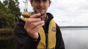 Lake Brunner fishing secrets