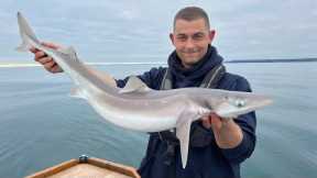 Sea Fishing UK Day and Night - Exploring Reef way offshore catches LOTS OF SHARKS! | The Fish Locker