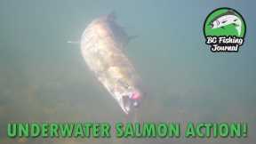 THE UNDERWATER BITE! Chum & Coho Salmon Fishing with GoFish Cam