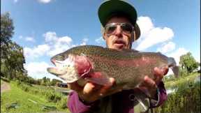 Simple Fly Fishing Tips for Catching Trout