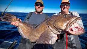 Monster “Sea Dragon” {Catch Clean Cook} The Fish I've been after for Years!!!