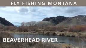 Fly Fishing Montana's Beaverhead River in March [Episode #36]