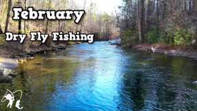 A Little Dry Fly Action | East Tennessee Fly Fishing