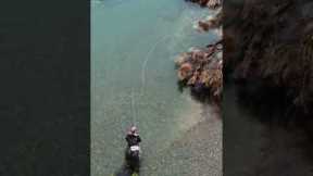 Super easy fly fishing for trout #shorts
