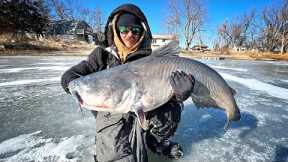 Ice Fishing For MONSTROUS BLUE CATFISH!!! (Possible Record)