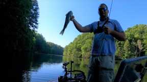 Summer Bass Fishing on South Holston Lake, TN