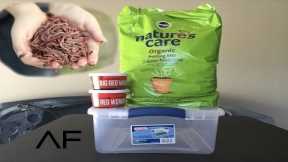 How To Breed Your Own Fishing Worms..EASY..MONEY SAVER!!!!!