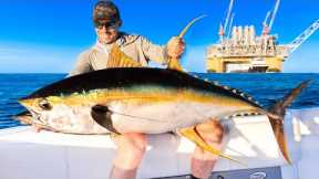 Monster Tuna Under Oil Rig! Catch, Clean & Cook!