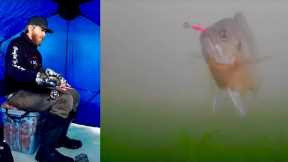 Why use underwater cameras?  Ice Fishing with an Underwater Camera for Aggressive Bluegills