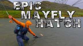 How We Do It EP 02: HOT SUMMER Weather Change & EPIC Mayfly Hatch! Fly Fishing Alberta, Canada