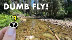 Can This Stupidly Simple Fly Catch Fish?? (Tenkara Fly Fishing)