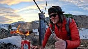 MOUNTAIN TROUT Fishing in REMOTE Wilderness!! (Catch & Cook)